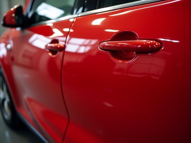 SUV paint after correction and ceramic coating